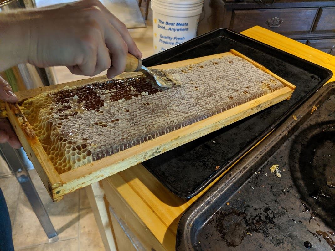 Cameron Bostic gathers honey.