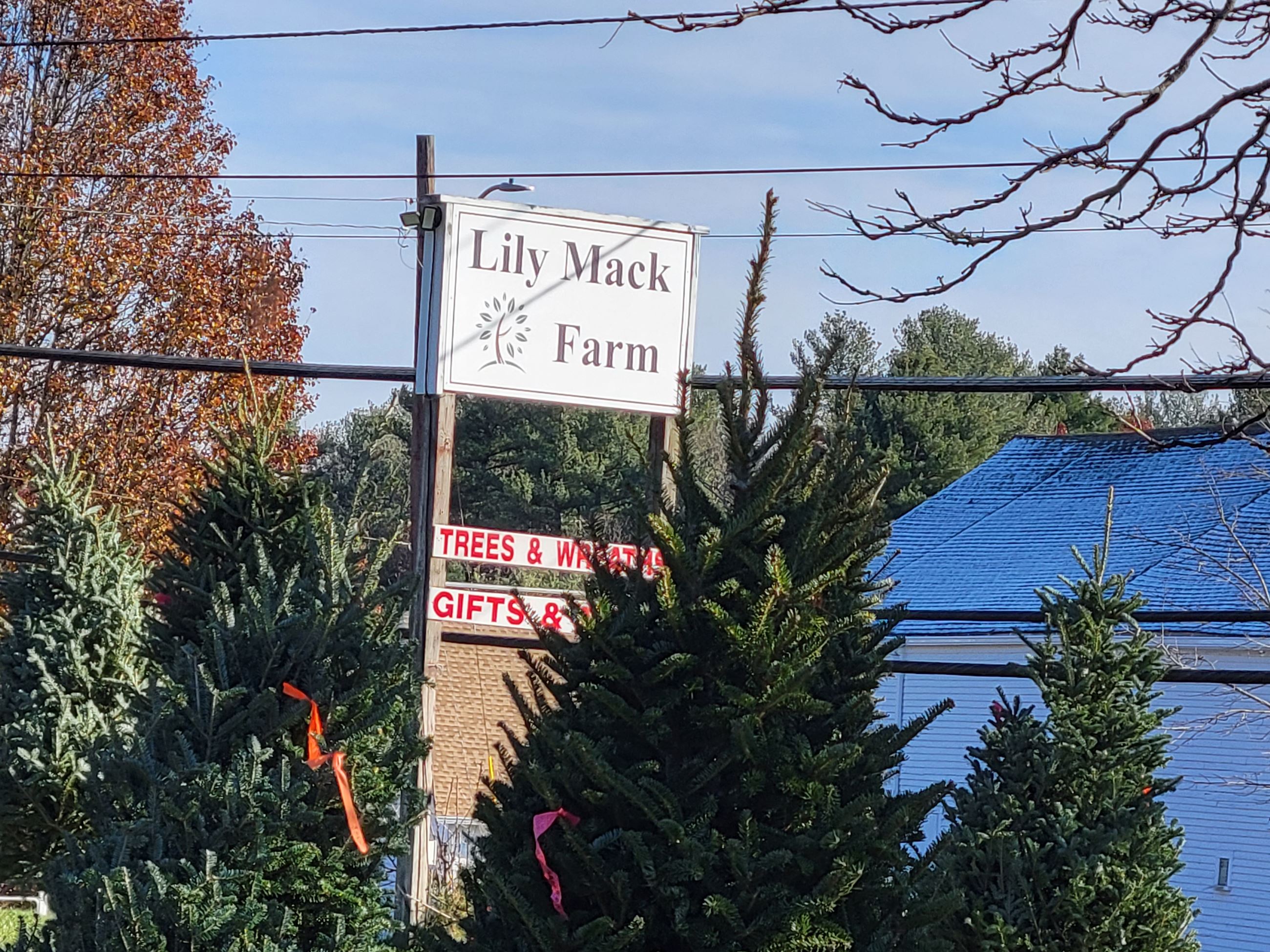 Lily Mack Farm