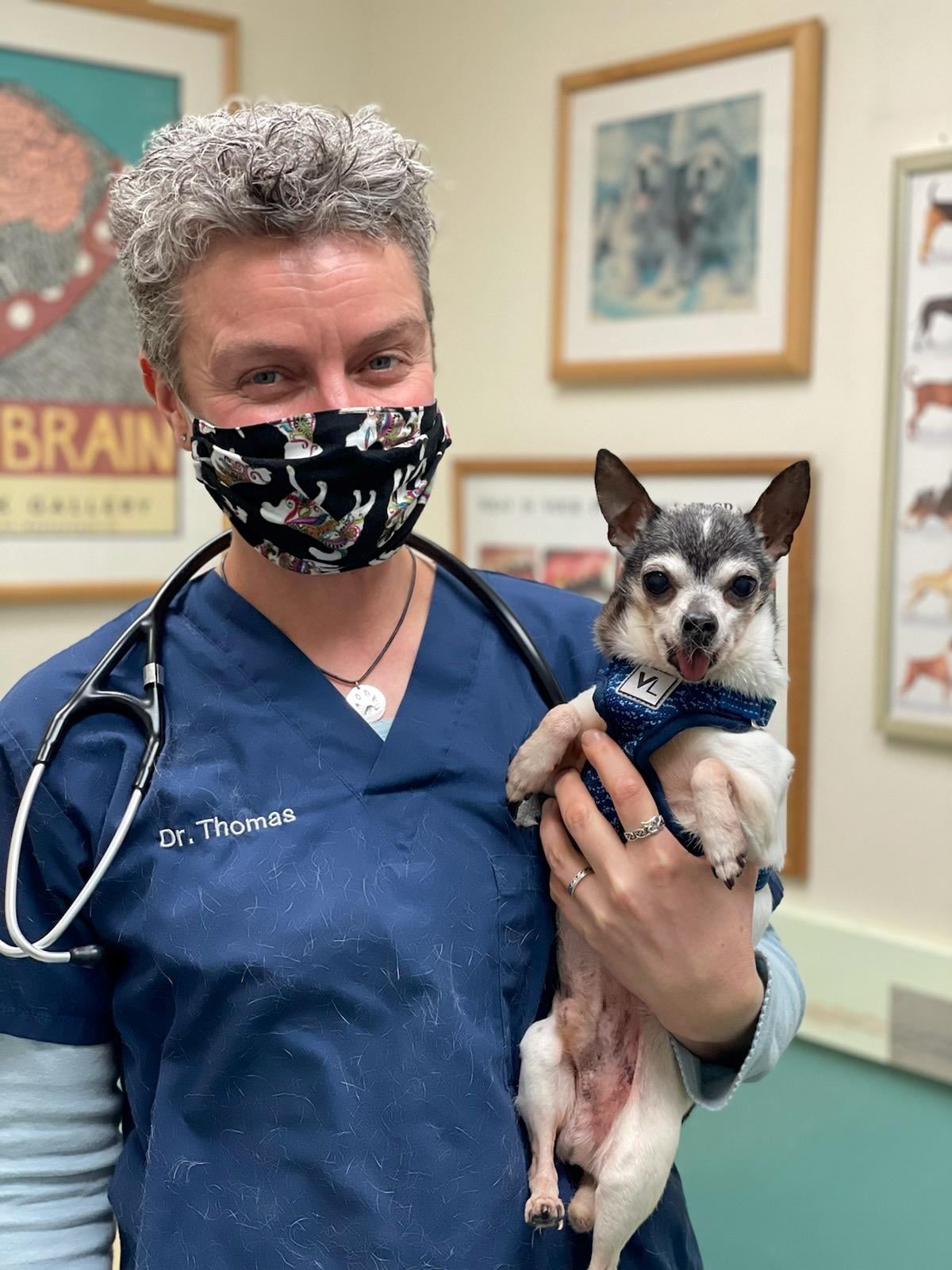 Dr. Kate Thomas at Wignall Animal Hospital