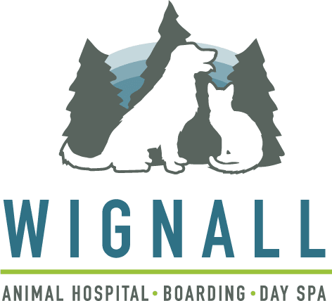 Wignall Animal Hospital