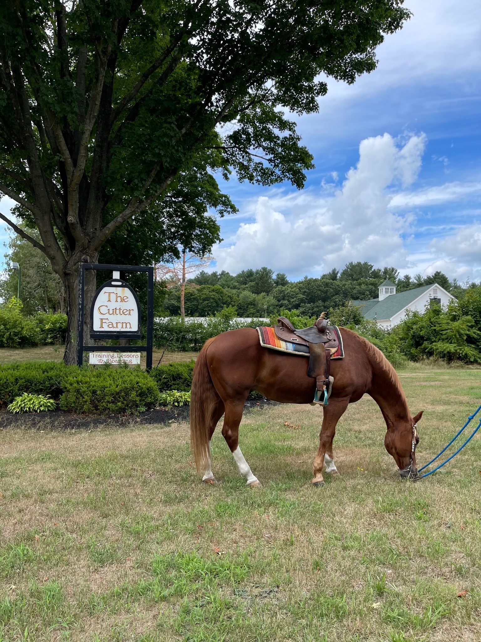 The Cutter Farm (COURTESY THE CUTTER FARM)