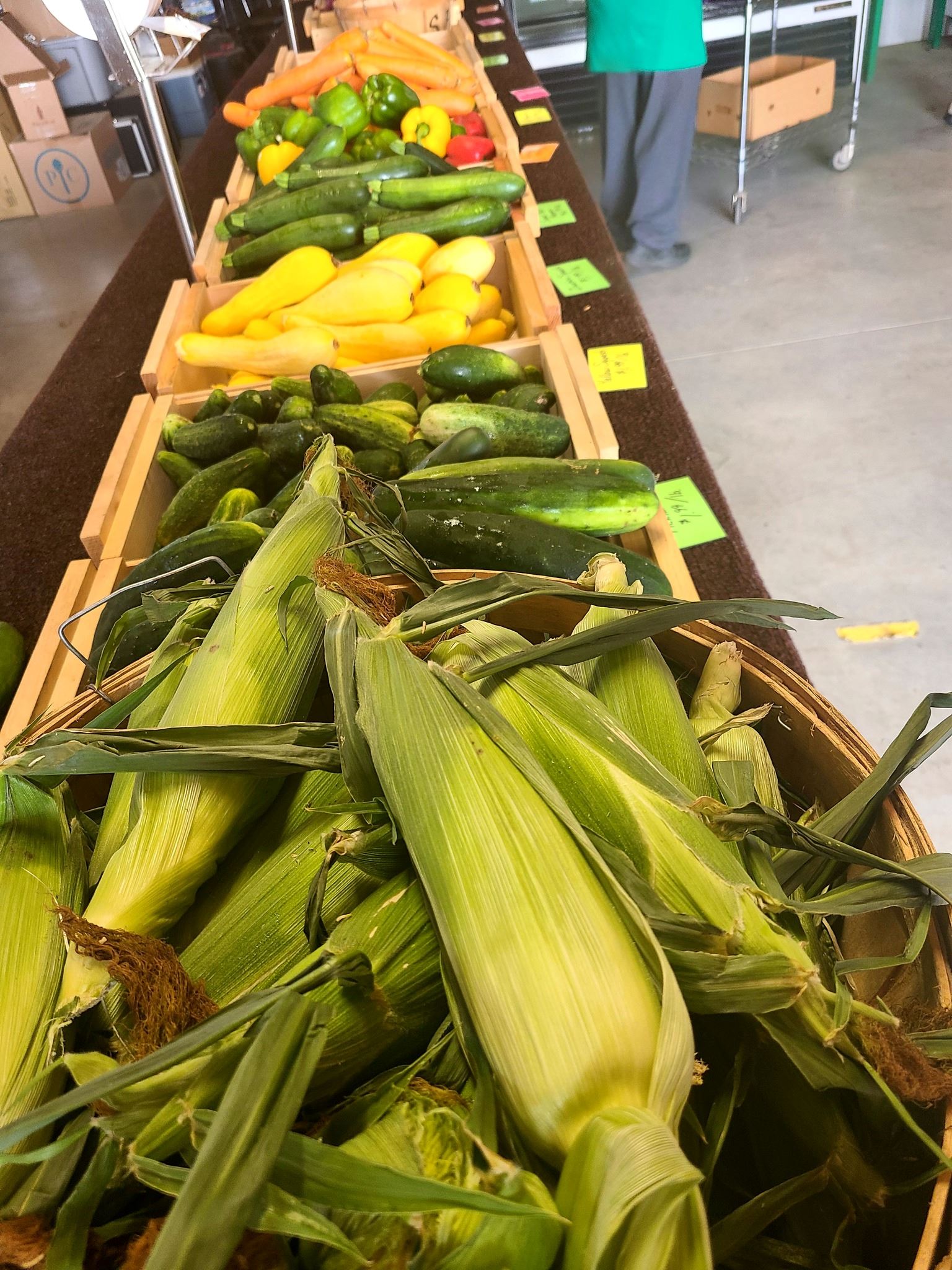 Saja Farm (ECONOMIC DEVELOPMENT PHOTO)