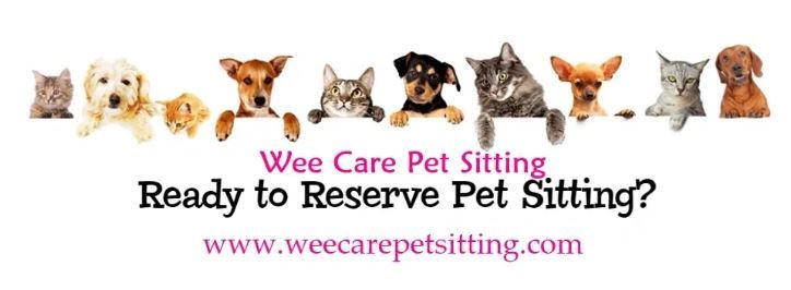 Wee Care Pet Sitting