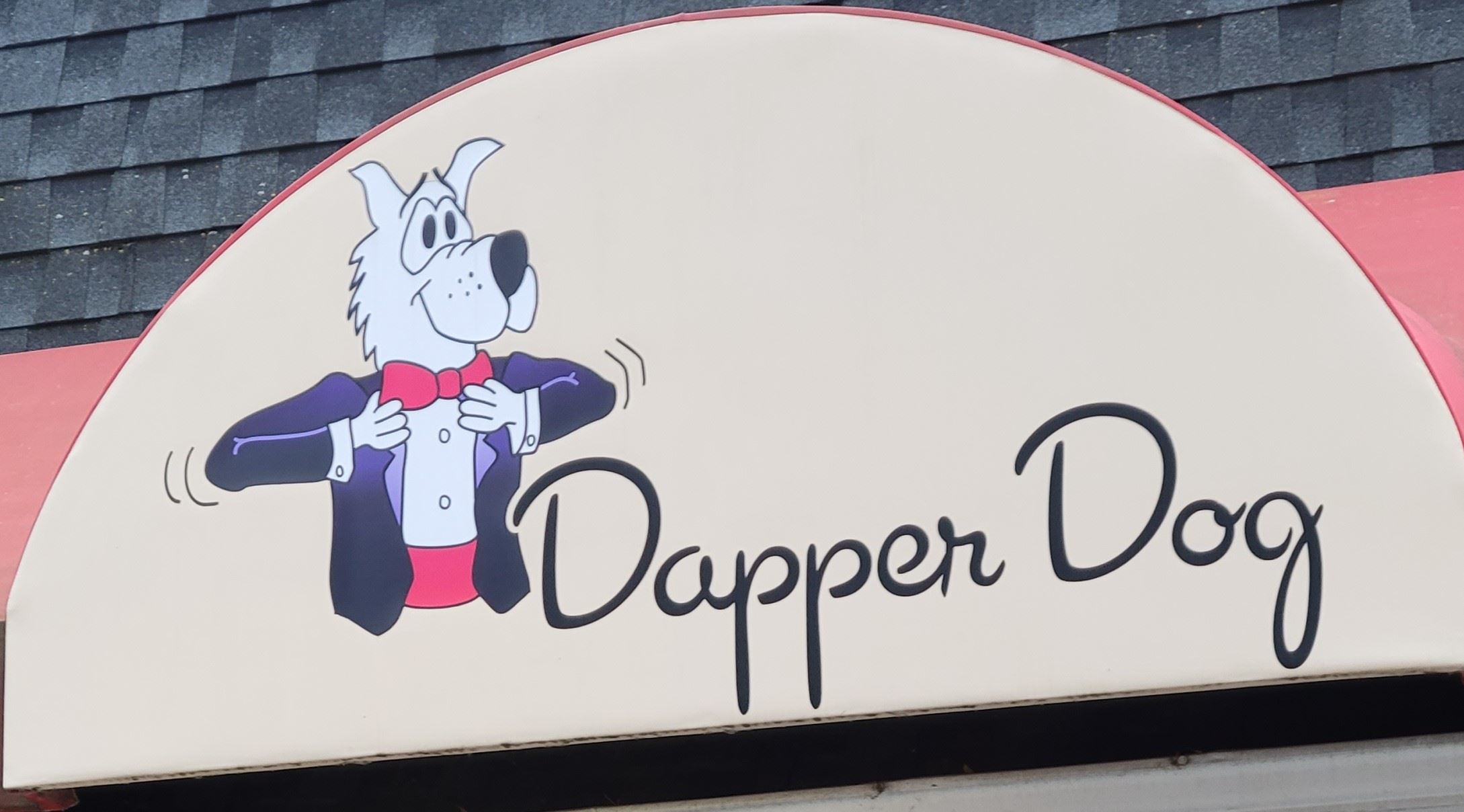 Dapper Dog