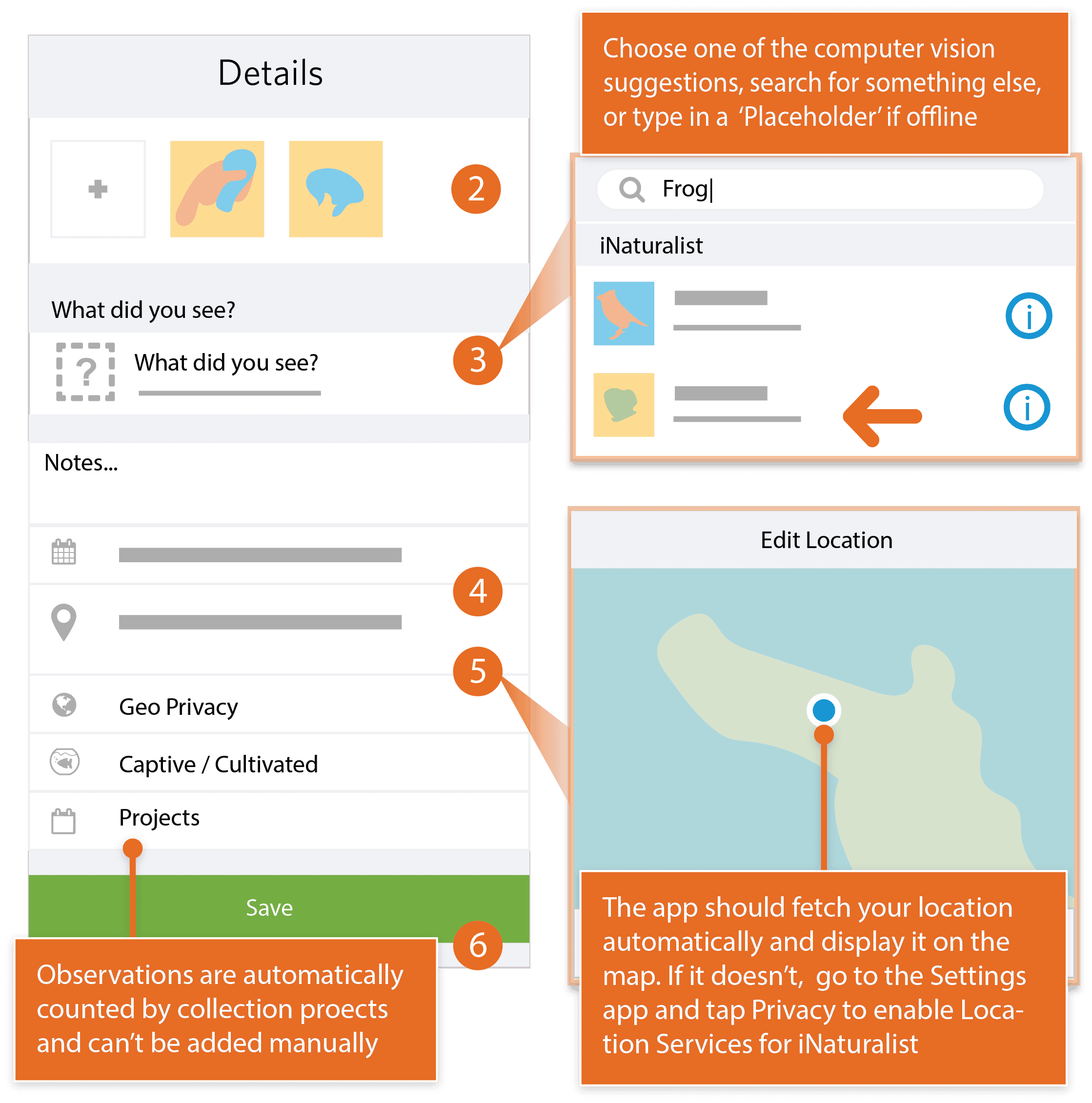 How to Make an Observation with your iPhone by iNaturalist
