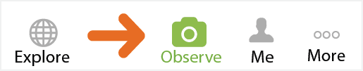 Observe Button iPhone