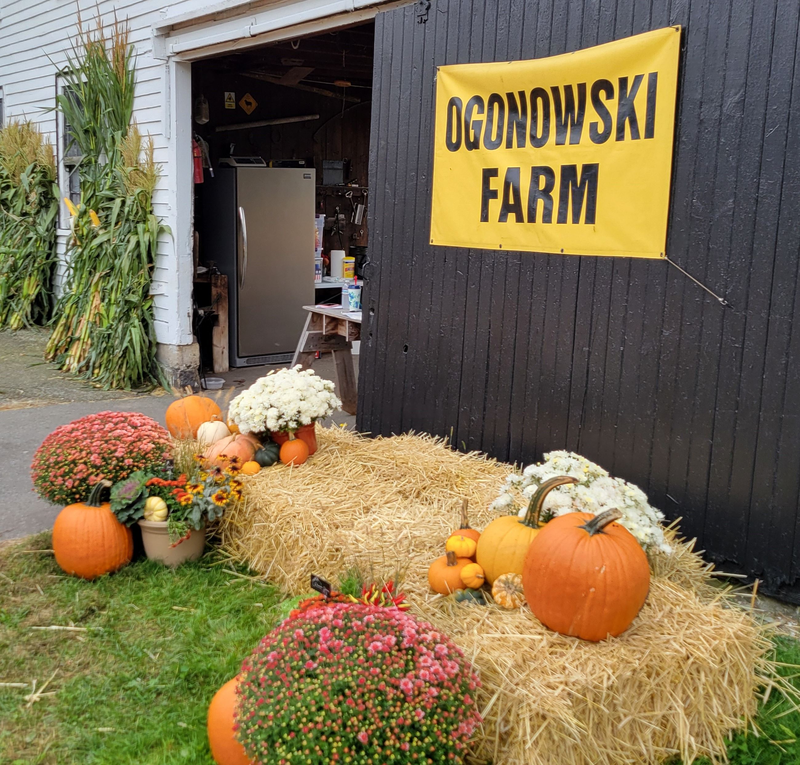 While you’re visiting Ogonowski Farm, 713 Broadway Road, you can take photos at its handy photo spot