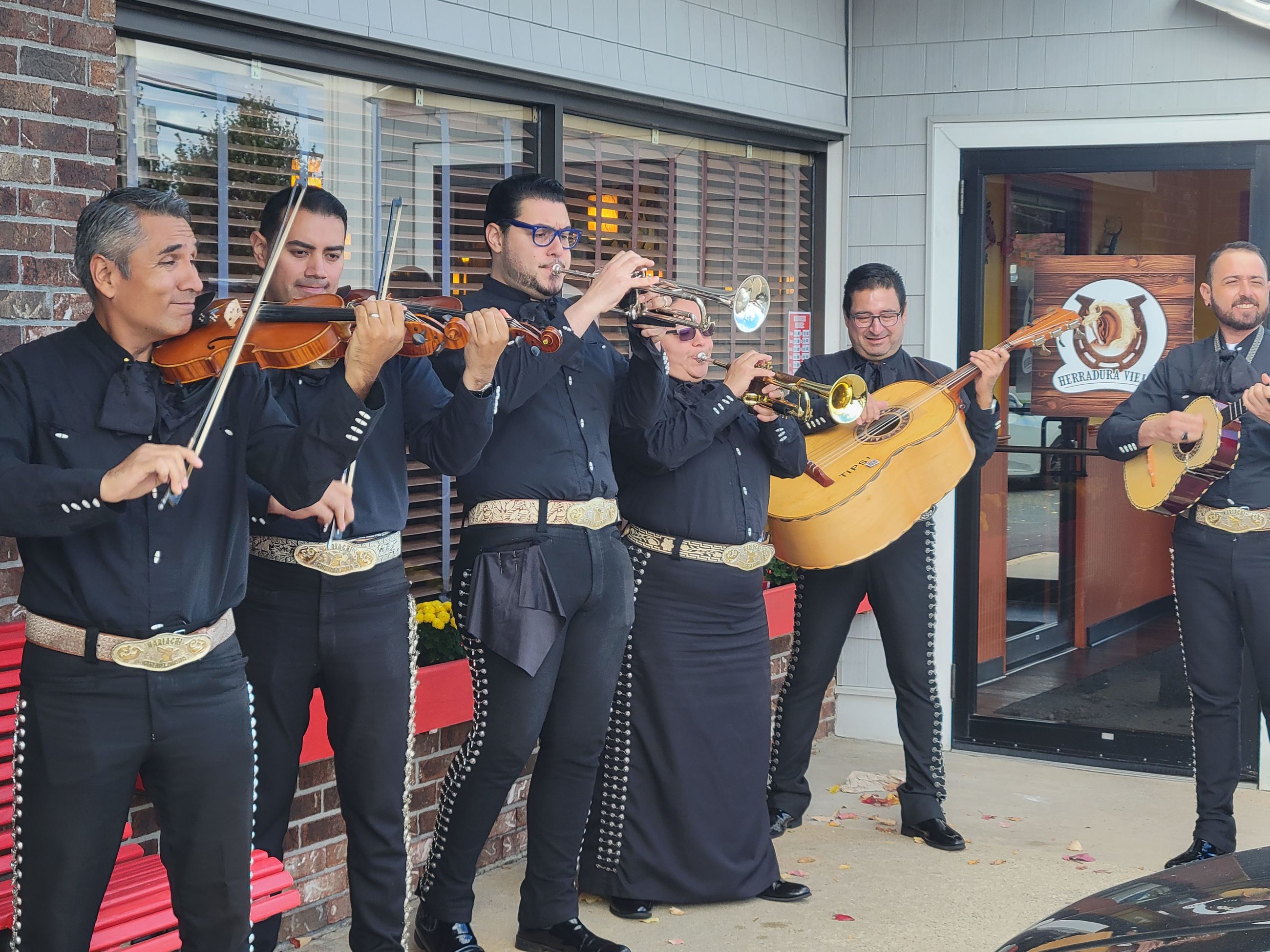 herradura vieja ribbon 2